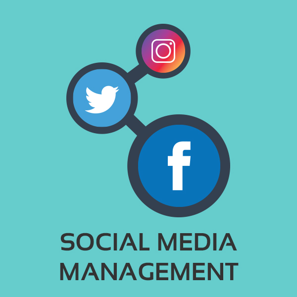 Social Media Marketing Services